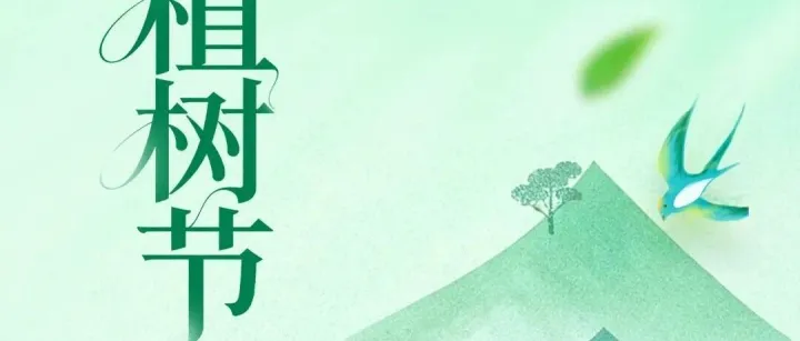 今日植树节｜添一抹新绿 不负好春光