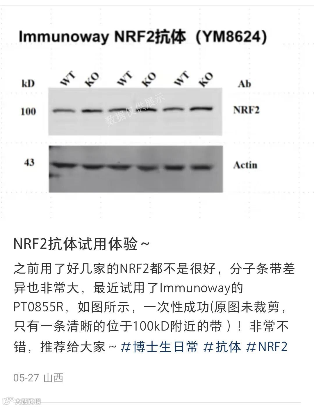 条带很清晰YM8624 2.jpg