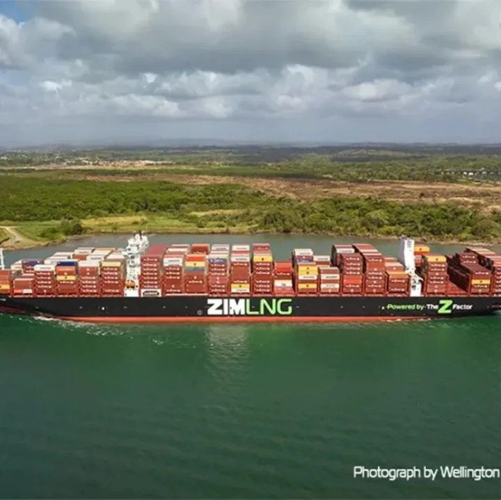 以星CEO抛售<em>股票</em>为<em>哪</em>般...｜航运界