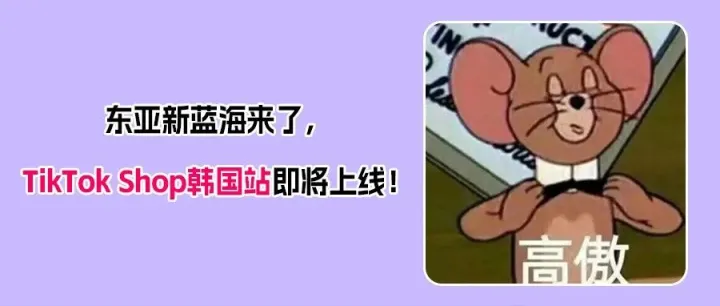 TikTok Shop韓國(guó)站倒計(jì)時(shí)！2026年Q3正式上線，東亞電商新戰(zhàn)場(chǎng)全面開(kāi)啟！