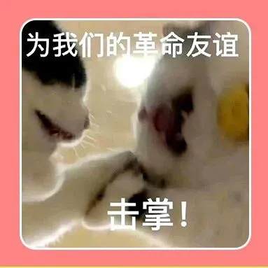 全球流量大洗牌：TikTok穩(wěn)居14，Temu殺入前20，中國(guó)平臺(tái)走出兩條路？