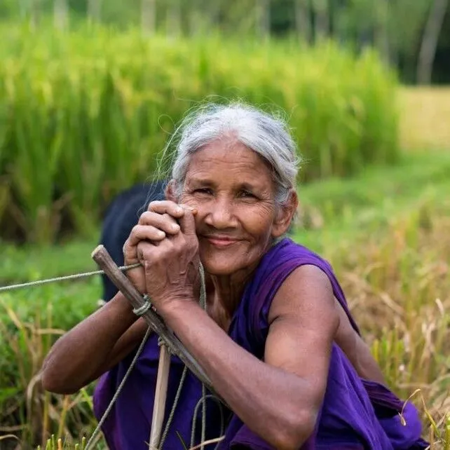 墨西哥对华平均关税或升至50%