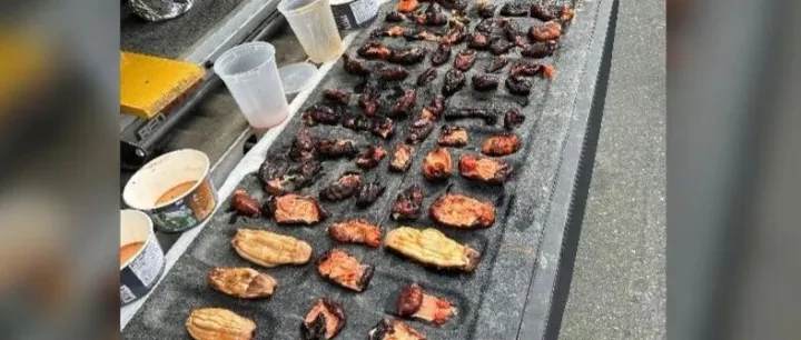 重罚！加拿大3名华人偷捞海参被抓，现场倒桶销毁证据，被罚$11,600