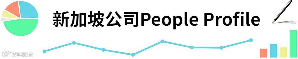 插图新加坡公司People Profile.jpg