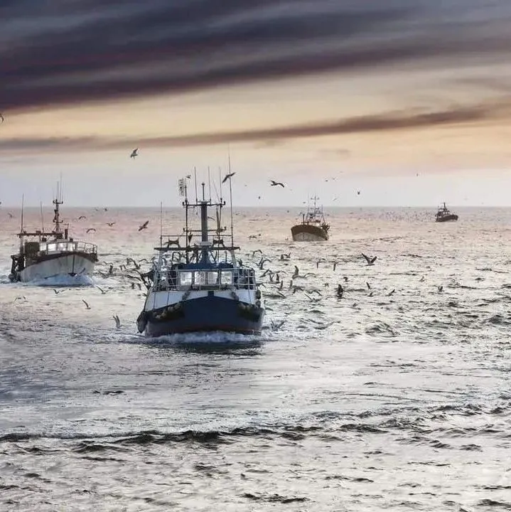 四艘中国渔船进入南非海域遭拦截 船主被罚40万兰特