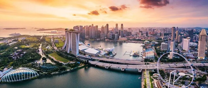 如何调取新加坡公司的原始工商文档？