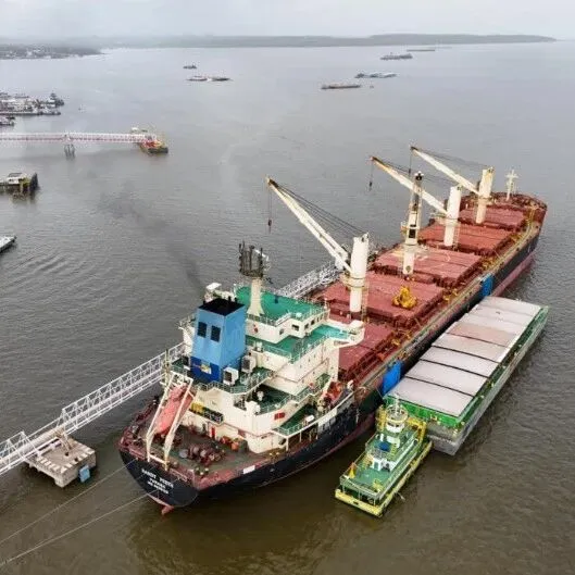 5天内扣押28艘巴拿马籍船舶？巴拿马政府撤销香港长江和记实业在巴拿马运河两端港口的运营权后，反制来了！