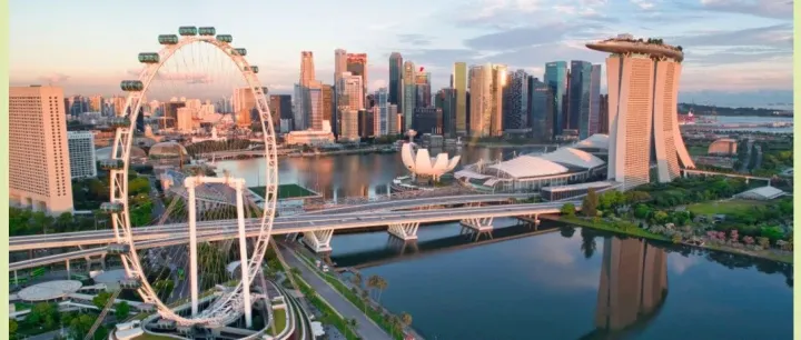 能否查詢和調(diào)取新加坡公司的各類證書？