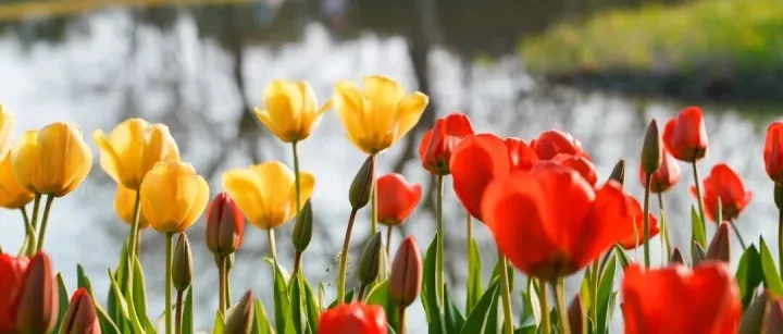 下周，雨一直下，气温还算“温柔”