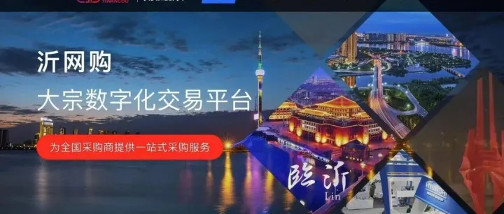 沂网购海外拓展新征程