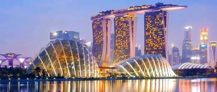 能否查询和调取新加坡公司的原始注册文件Registers？