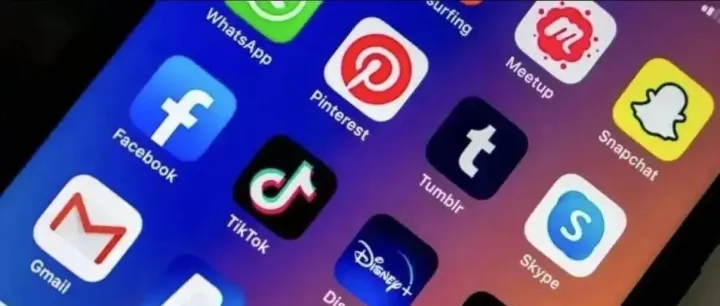 <em>FACEBOOK</em>：基础知识