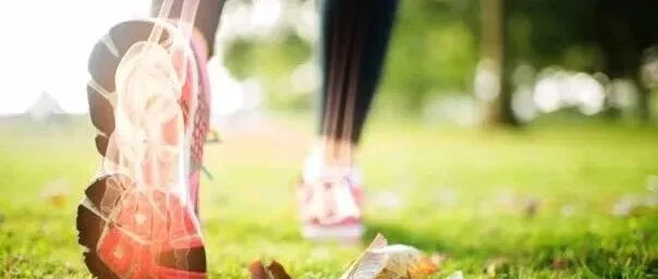 营养与研究：肌肉骨骼损伤