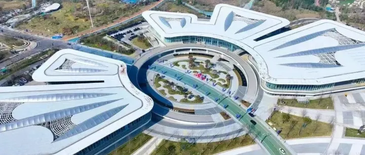 《浙江日报》头版关注金漪湖畔！一场人工智能的“双向奔赴”