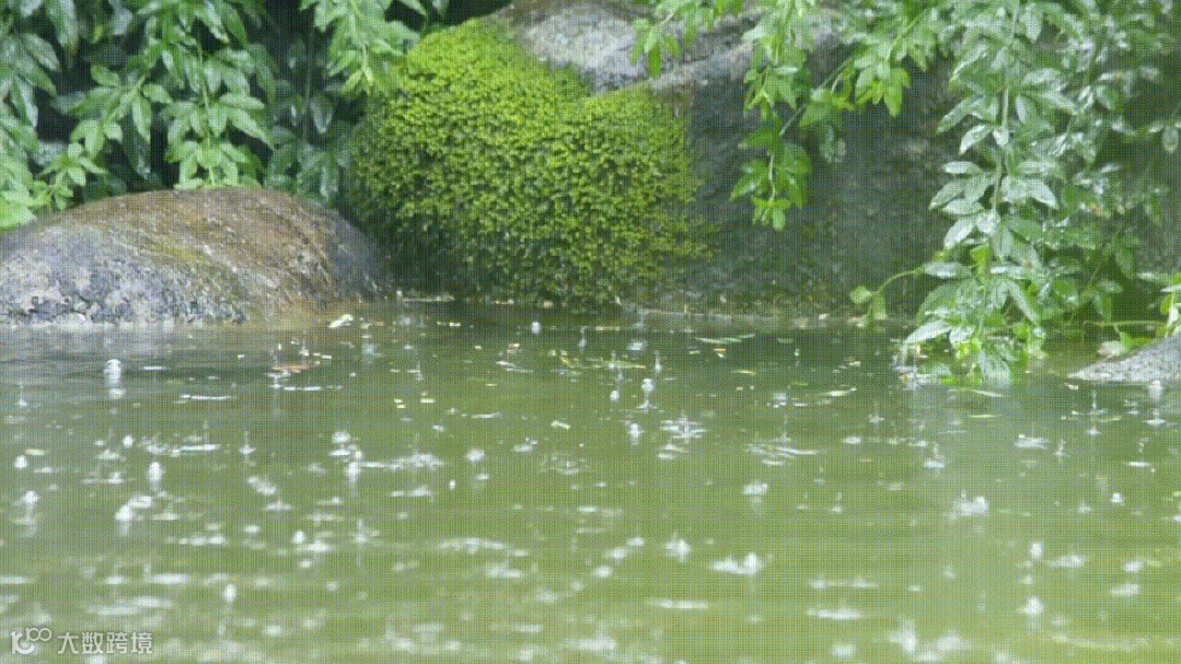 下雨配图.gif