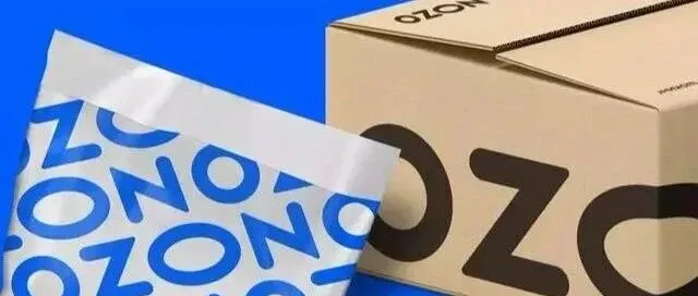 OZON 2026年蓝海产品推荐！3个类目+5个细分品，月销轻松破万