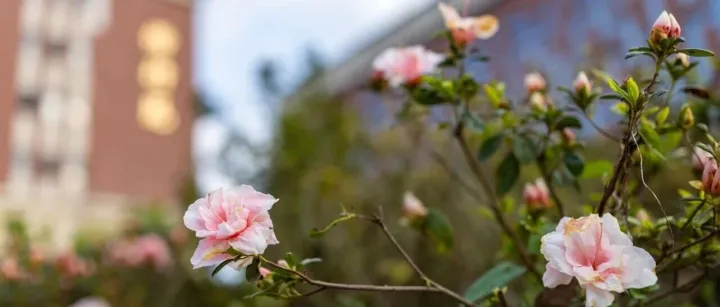 聽見丨貴州電商職院的春日交響，正式奏響！