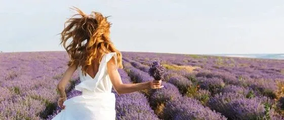 CYTOPLAN：进取—永无止境！