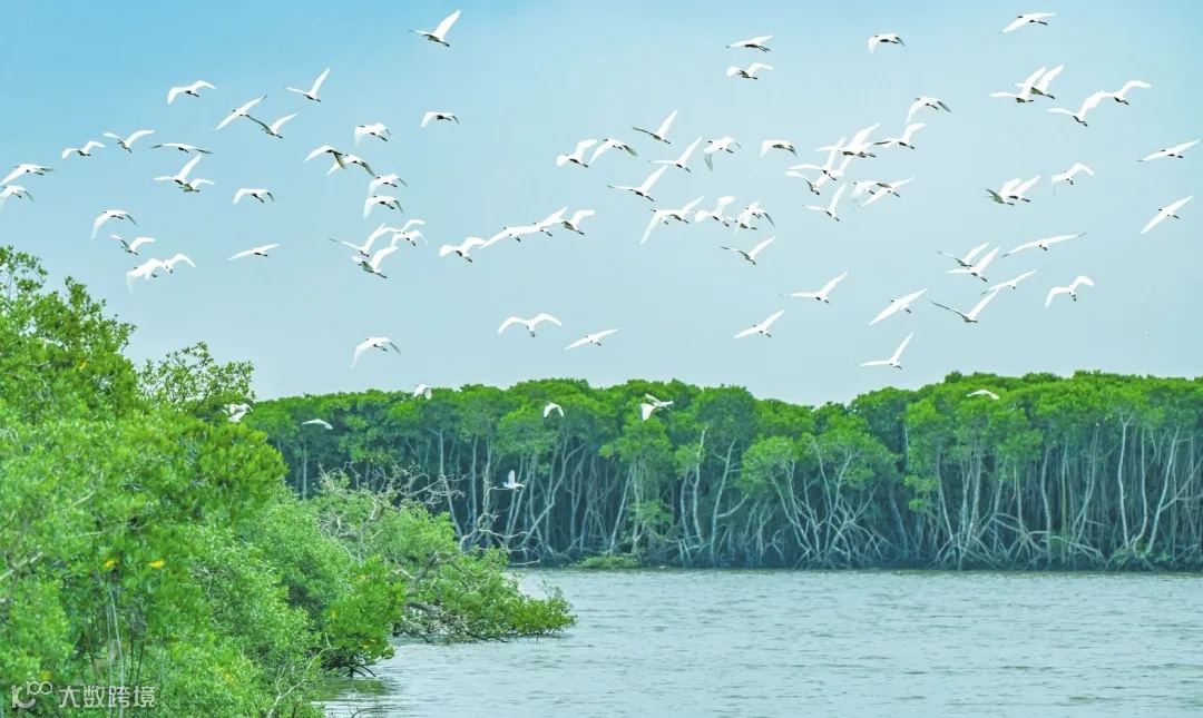 640_wx_fmt=jpeg.webp (1).png