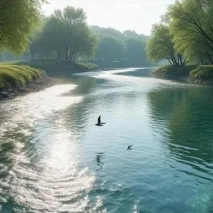 放棄焦慮式逼單后，我的外貿反而越做越順