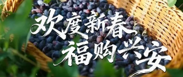 “欢度新春·福购<em>兴安</em>”——塔河年货节，消费券为团圆加温