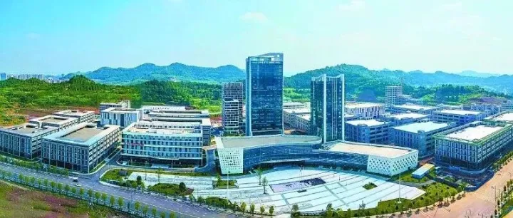 南充：以服务之优 筑攻坚之势