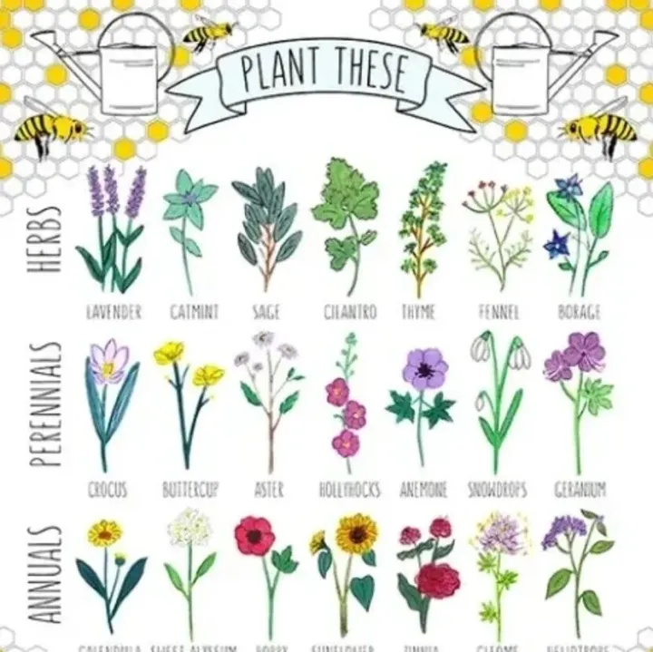 26-cv-02913，又一批个人设计师起诉，素材版权正在全面收紧