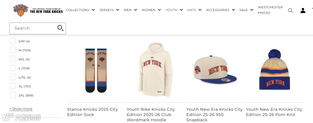 案件基本介绍图片