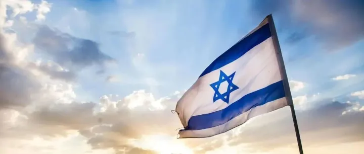 查询以色列公司，能获取什么信息？