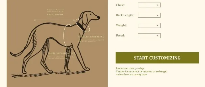 宠物品牌独立站，人家都已经不做可爱风了