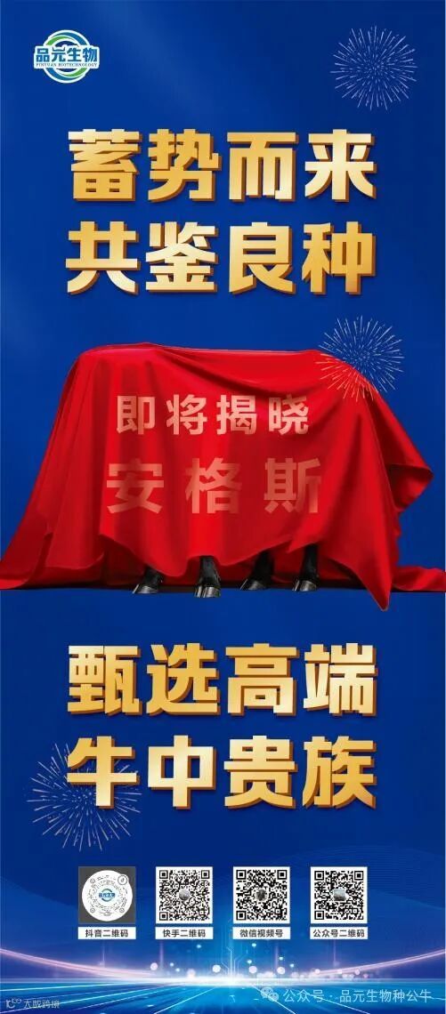 排行榜丽萍展架 4.9 对稿 3_05.jpg