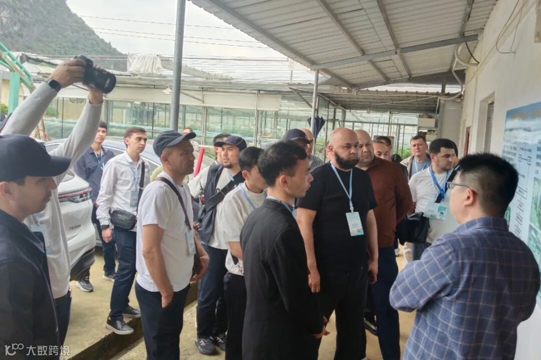 沃柑深加工工厂 (21).jpg