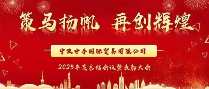 “策马扬帆 · 再创辉煌” 2025年度总结大会