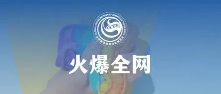 用泡泡玛特的方式卖捏捏，TikTok卖家一周入账近70万