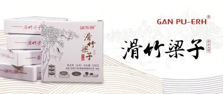 【經(jīng)典上新】甘普洱滑竹梁子·方茶