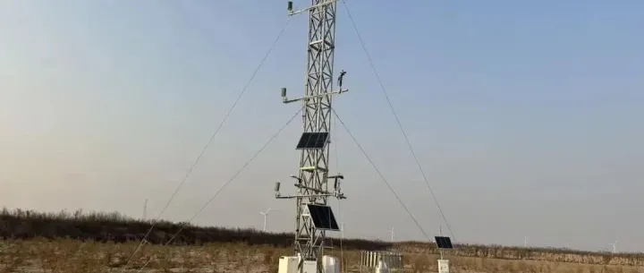 生态监测塔：用数据"翻译"大地的语言