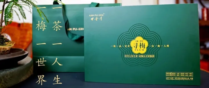 甘普洱 寻梅古树礼盒