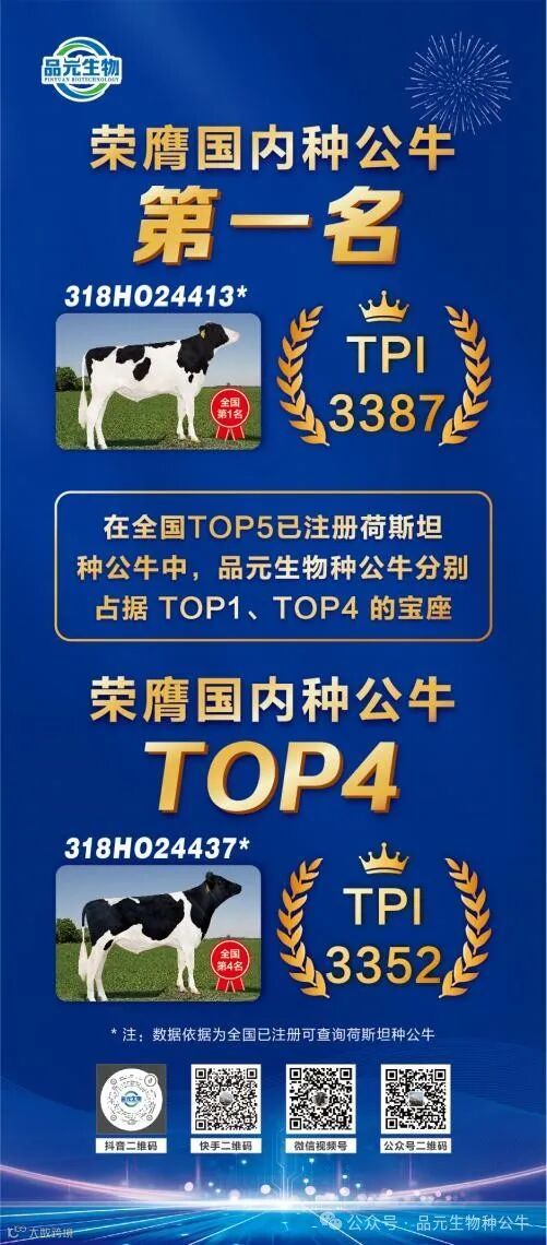 排行榜丽萍展架 4.9 对稿 3_04.jpg