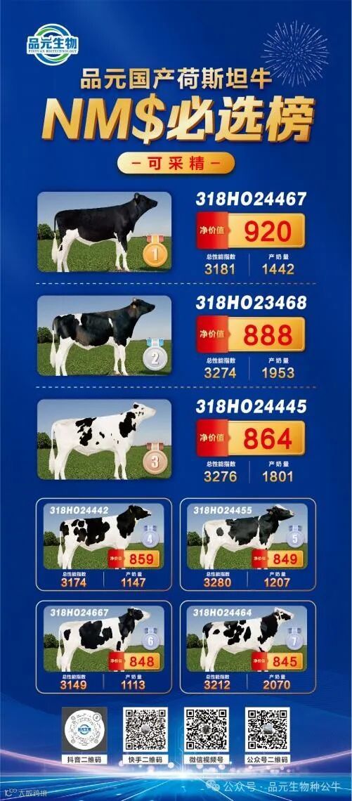 排行榜丽萍展架 4.9 对稿 3_01.jpg