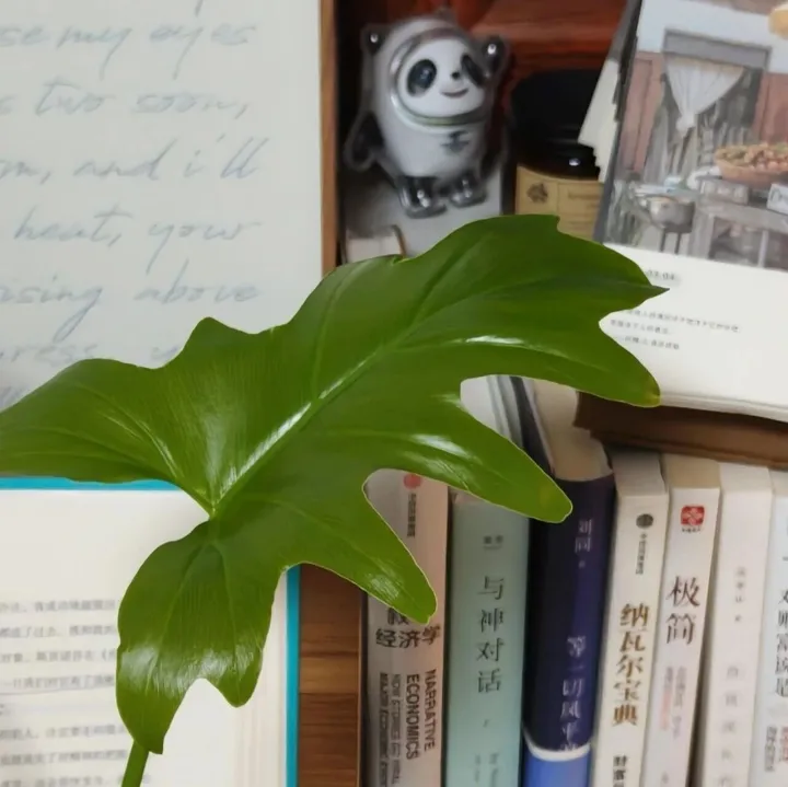 国际局势一乱，外贸人的报价先崩了：这不是情绪，是很多工厂正在面对的现实