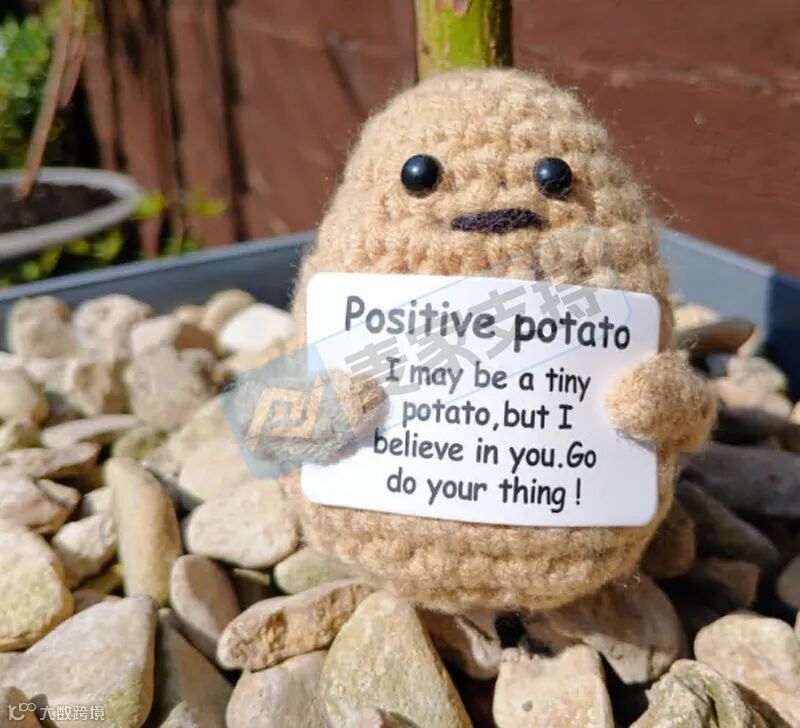 6-cv-03112，爆款赛道雷区不断！Positive