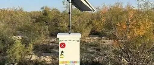 扎根沙乡，智测“土”情！