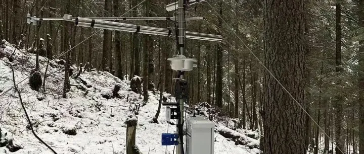 环境监测系统，守护森林自然生态新屏障