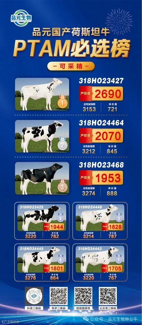 排行榜丽萍展架 4.9 对稿 3_02.jpg