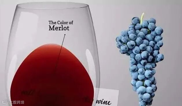 点击查看源网页