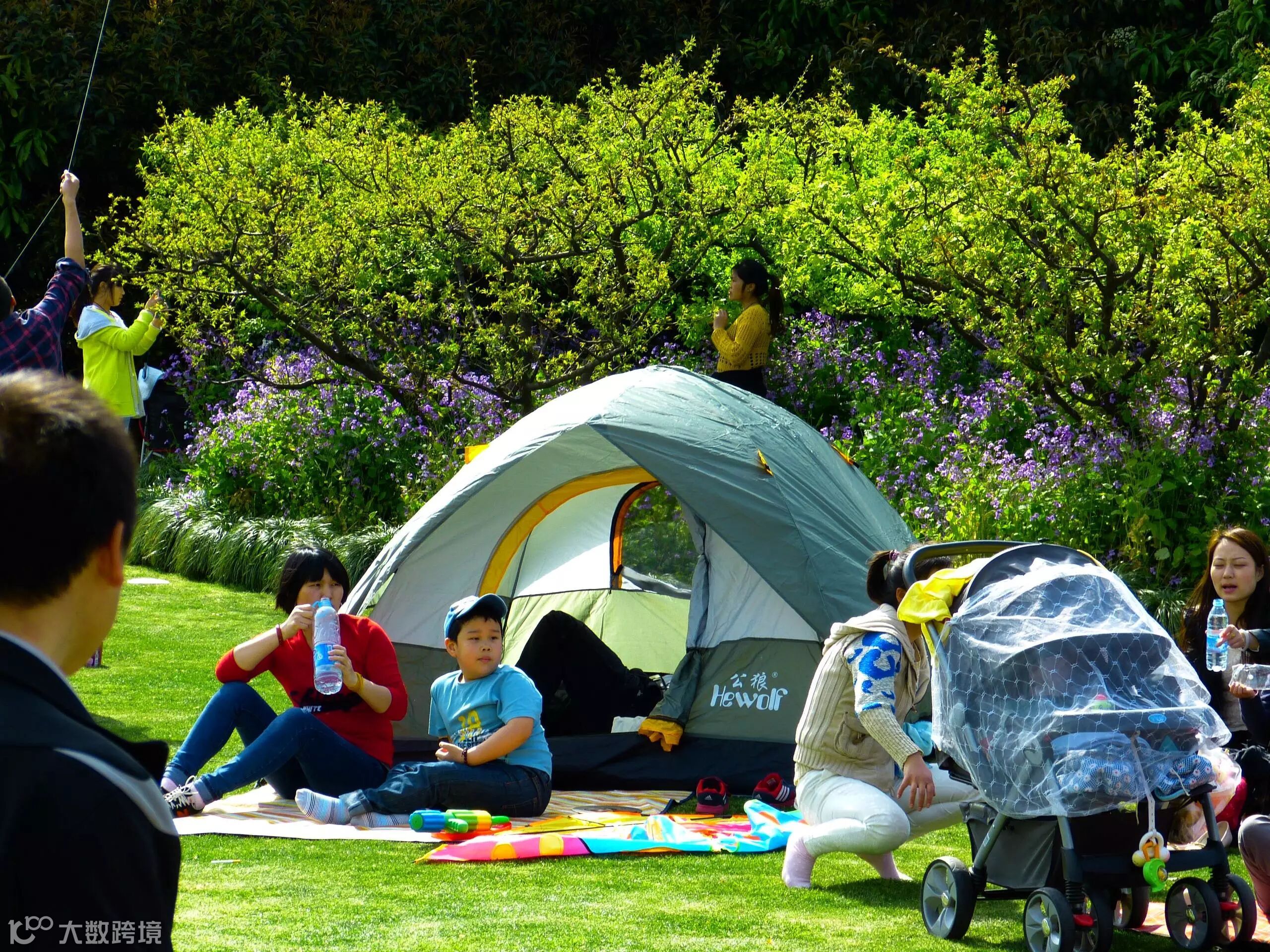 点击查看源网页