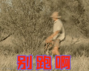 别跑啊