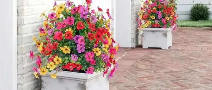 上线12天狂卖2.8万件，270万入账：中国出海品牌如何在TikTok美区拿下“春日第一桶金”？