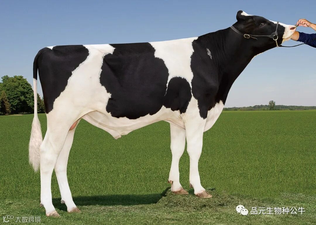 318HO21261 电子版.jpg