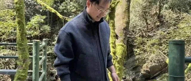 今年Tiktok内容团队的结构一定会变！